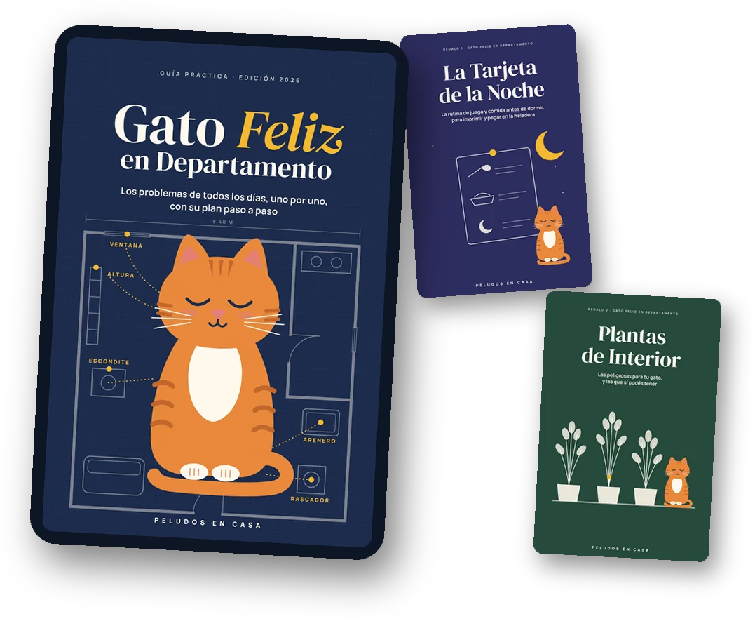 El libro Gato Feliz en Departamento con sus 2 regalos